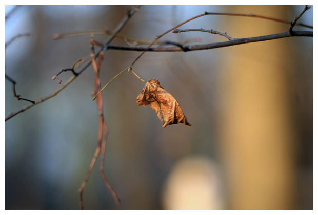Осень в Краснопресненском парке